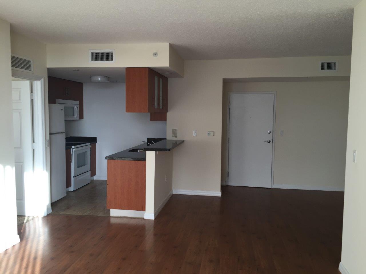 Open living room and kitchen