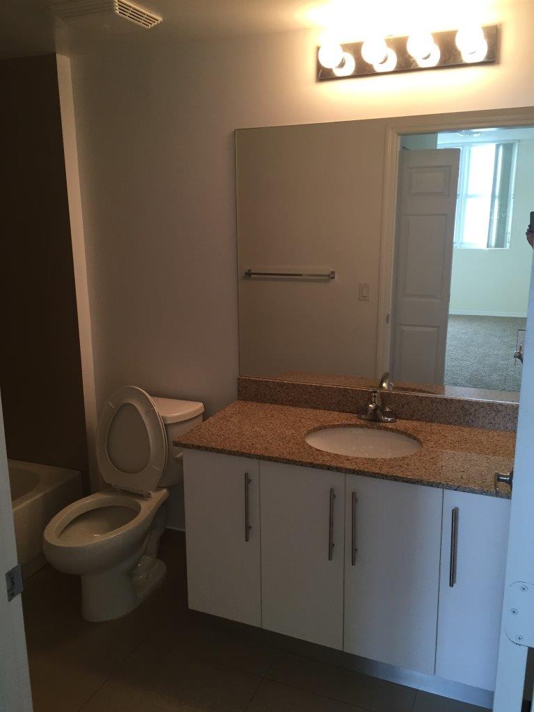 Bathroom with granite vanity